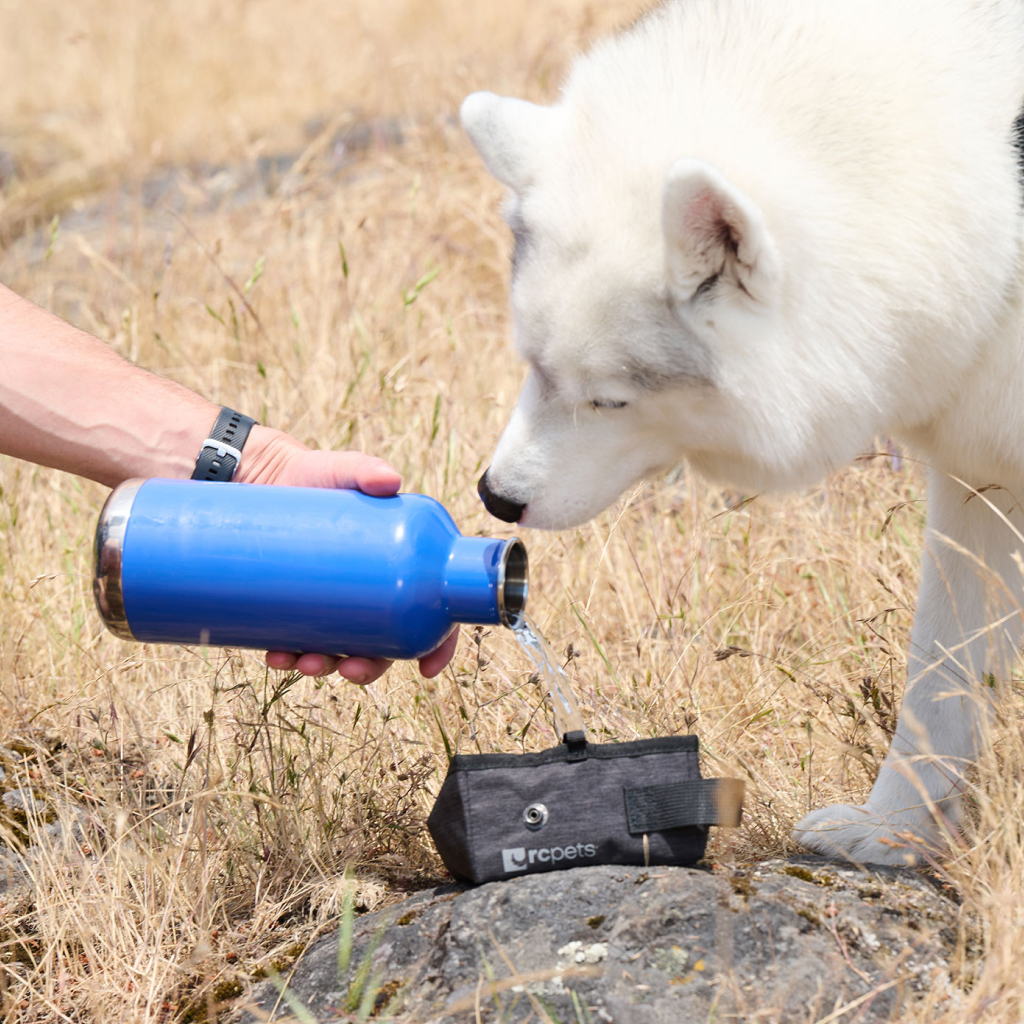 RC Pets On the Go Bowl Heather Black image number null