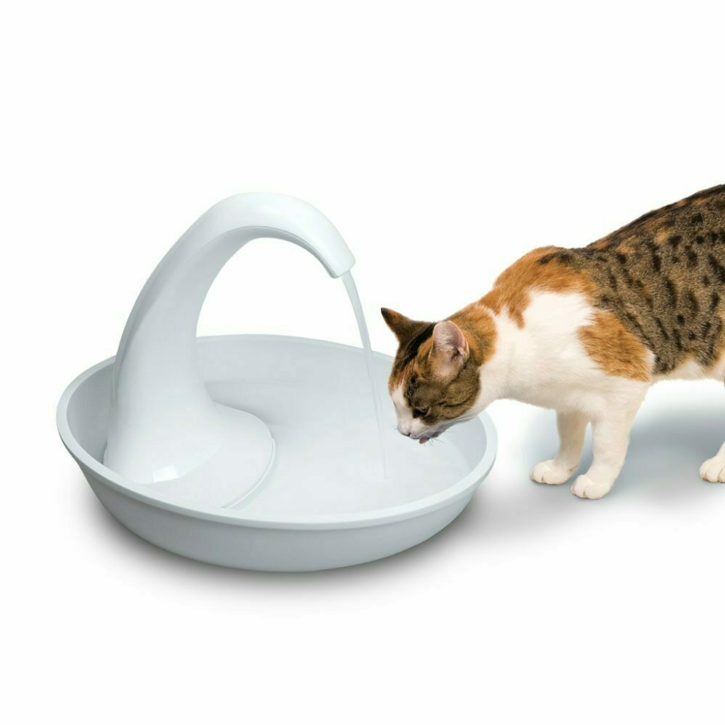 Swan Fountain Plastic (80-oz) image number null