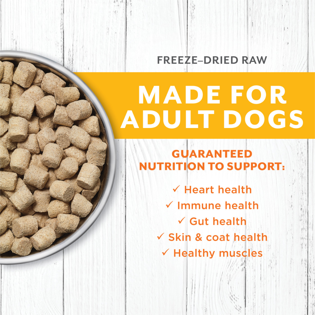 Instinct Freeze-Dried Raw Longevity Cage-Free Chicken Bites Adult Dog Food, 5-oz image number null