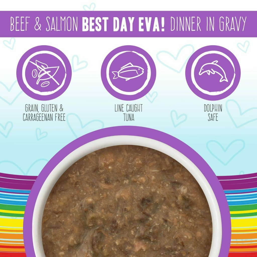 B.F.F. Omg - Best Feline Friend Oh My Gravy!, Best Day Eva! With Beef & Salmon In Gravy Cat Food By Weruva, 5.5-oz Can image number null