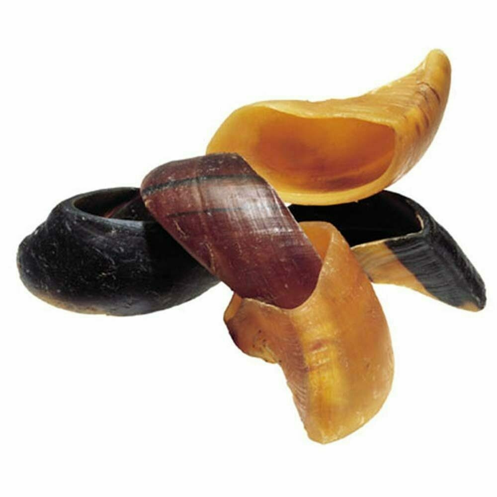 Hooves image number null