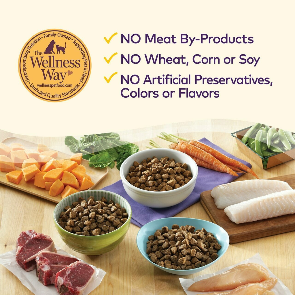 Wellness Complete Health Natural Dry Dog Food, Chicken & Oatmeal image number null