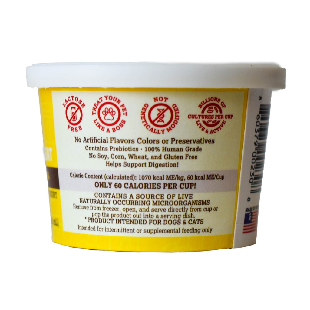 Greek Style Frozen Yogurt Treat Real Cheddar & Bacon, 3.5-oz image number null