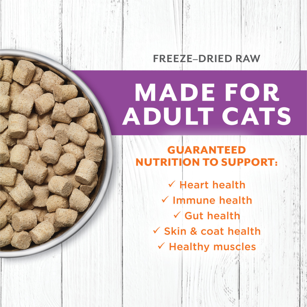 Instinct Freeze-Dried Raw Longevity Adult Rabbit Bites Cat Food , 9.5-oz image number null