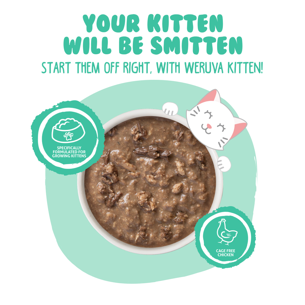 Weruva Kitten Cat Can - Chicken & Tuna Formula in Gravy, 3-oz image number null