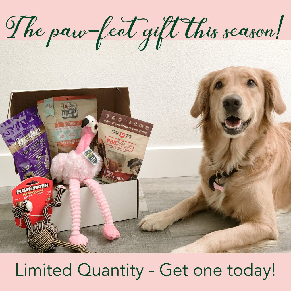 Dog Treats and Toys Gift Box image number null