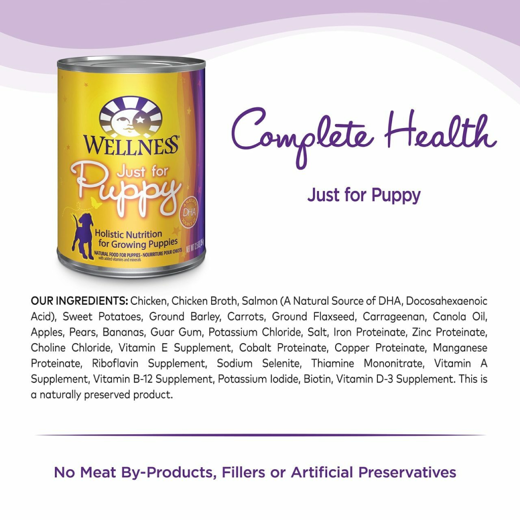 Wellness Complete Health Natural Wet Canned Puppy Food, Puppy Chicken & Salmon 12.5-oz Can image number null