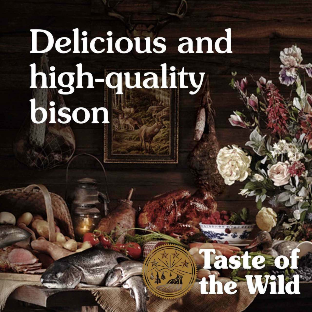 Taste Of The Wild High Prairie Canine Recipe With Bison In Gravy 13-oz Can Dog Food image number null