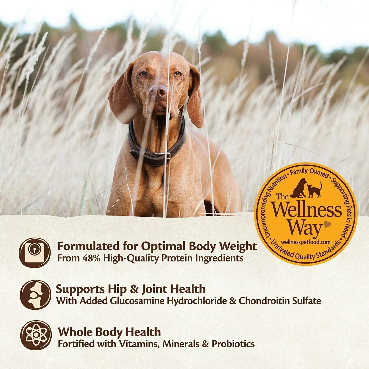 Wellness Core Natural Grain Free Dry Dog Food, Large Breed, 24-lb Bag image number null