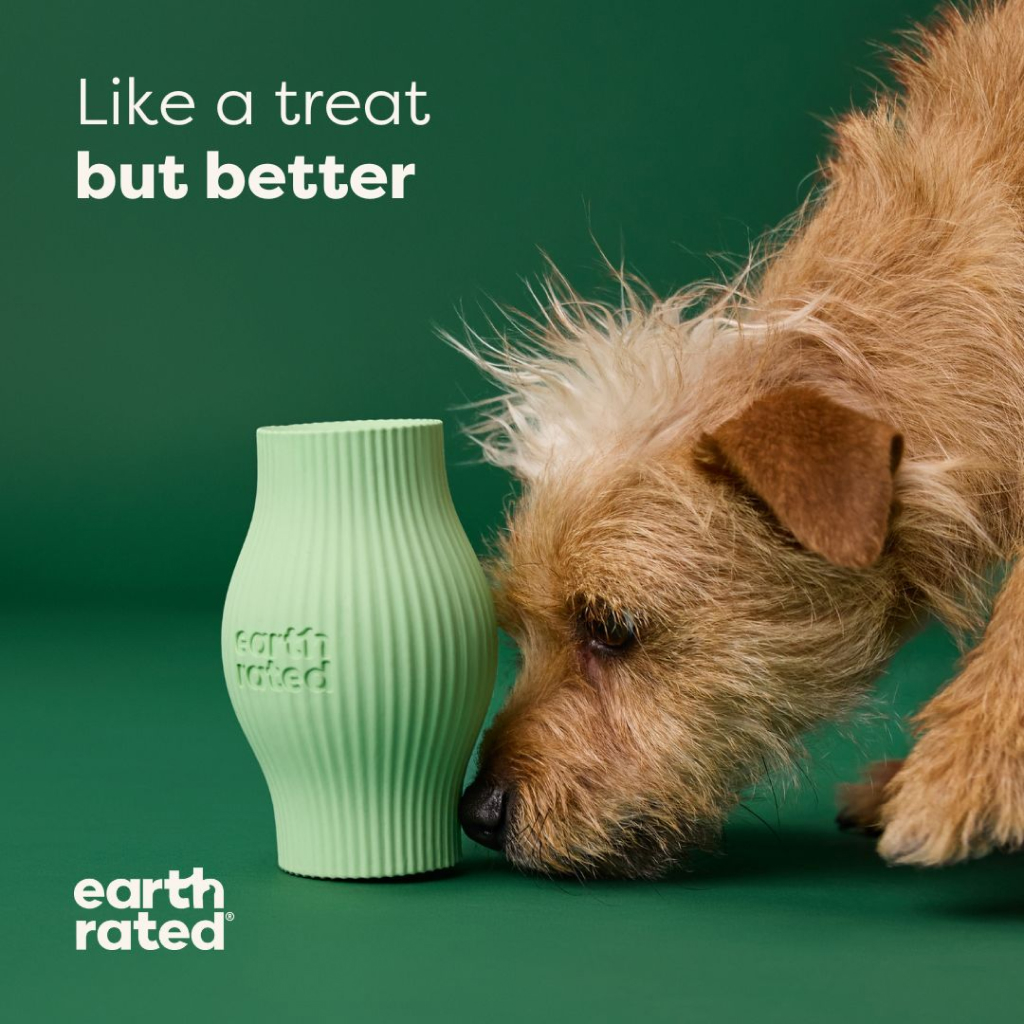 Earth Rated Small Treat Rubber Dog Toy, 1-count image number null