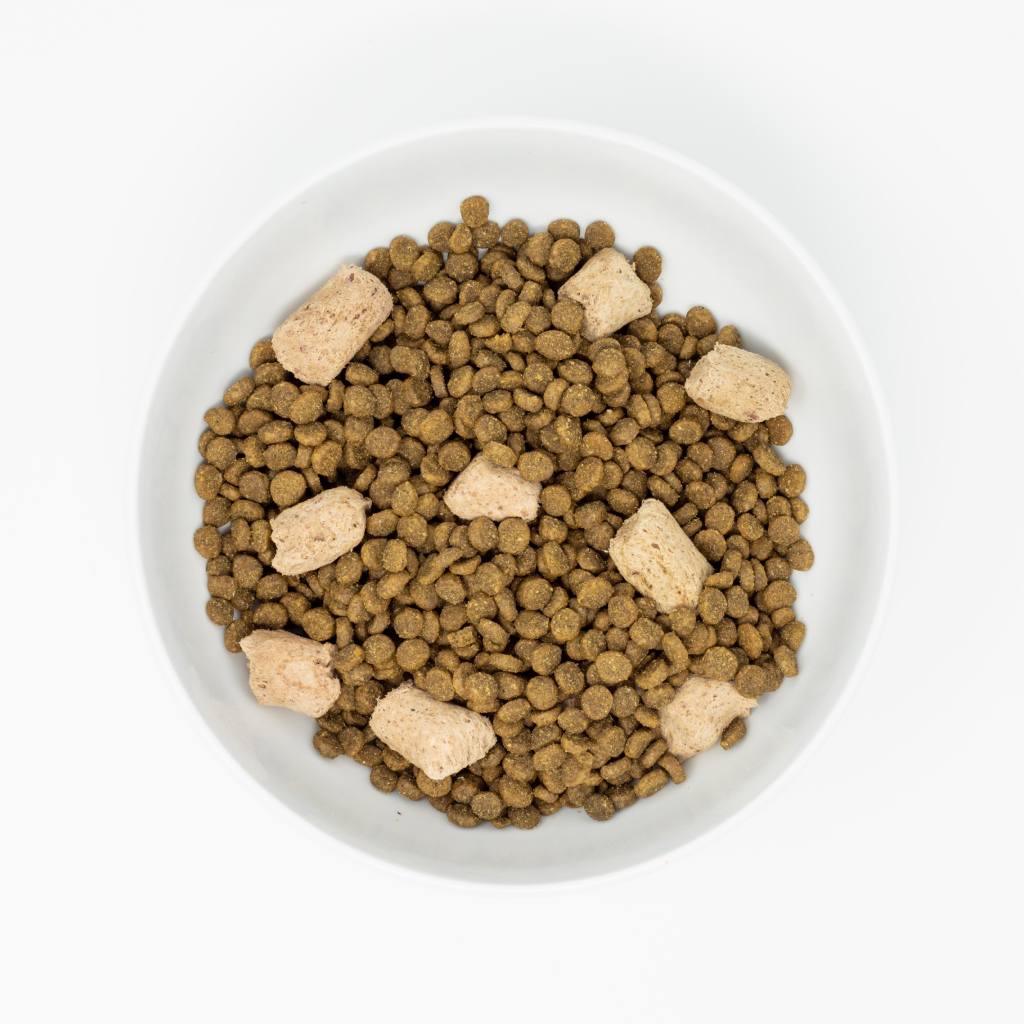 Stella & Chewy's Cat Raw Blend Kibble, Cage-Free Poultry Recipe image number null