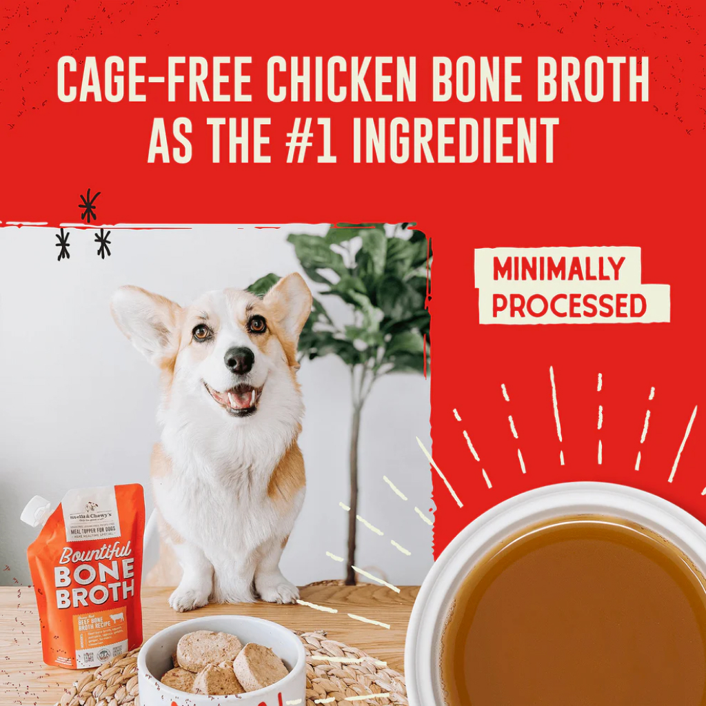 Stella & Chewy's Bountiful Bone Broth Cage-Free Chicken Recipe, 16-oz image number null