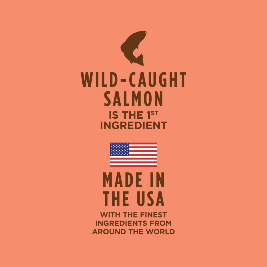 Instinct Healthy Cravings Grain-Free Real Salmon Recipe In Savory Gravy Wet Cat Food Topper image number null