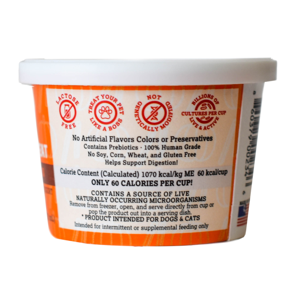 Greek Style Frozen Yogurt Treat Pumpkin & Cinnamon, 4 Pack image number null
