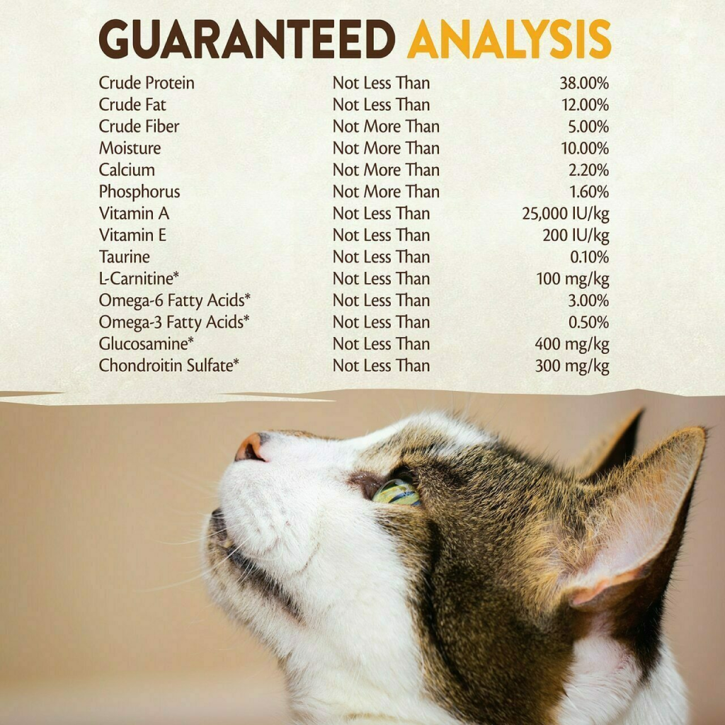 Wellness Core Natural Grain Free Dry Cat Food, Indoor Chicken & Turkey Recipe image number null