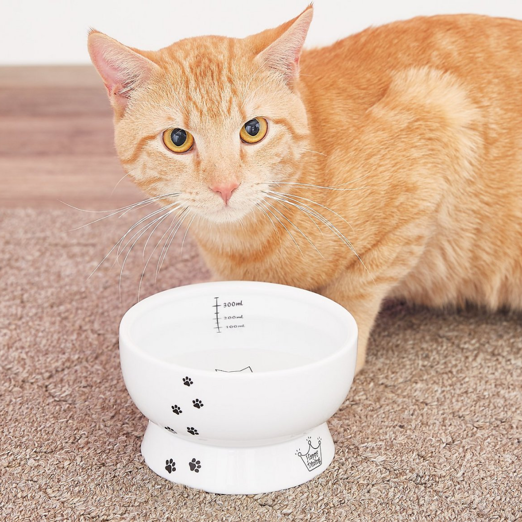 Raised Cat Water Bowl (Cat) image number null