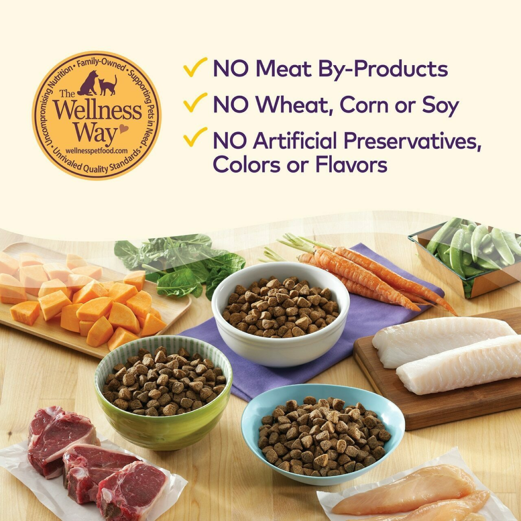 Wellness Complete Health Natural Grain Free Dry Dog Food, Chicken image number null