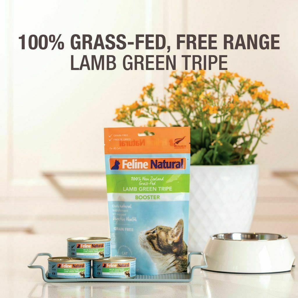 Feline Natural Lamb Green Tripe Booster Freeze Dried Cat Food Supplement image number null
