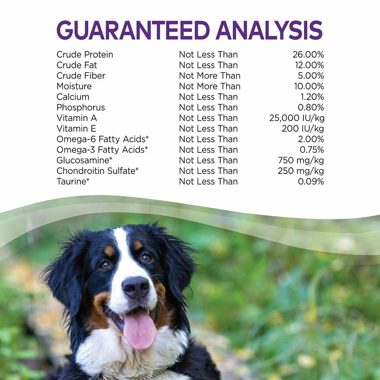 Wellness Complete Health Natural Dry Large Breed Dog Food, Chicken & Rice, 30-lb Bag image number null