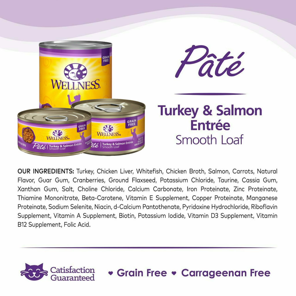 Wellness Complete Health Natural Grain Free Wet Canned Cat Food, Turkey & Salmon image number null