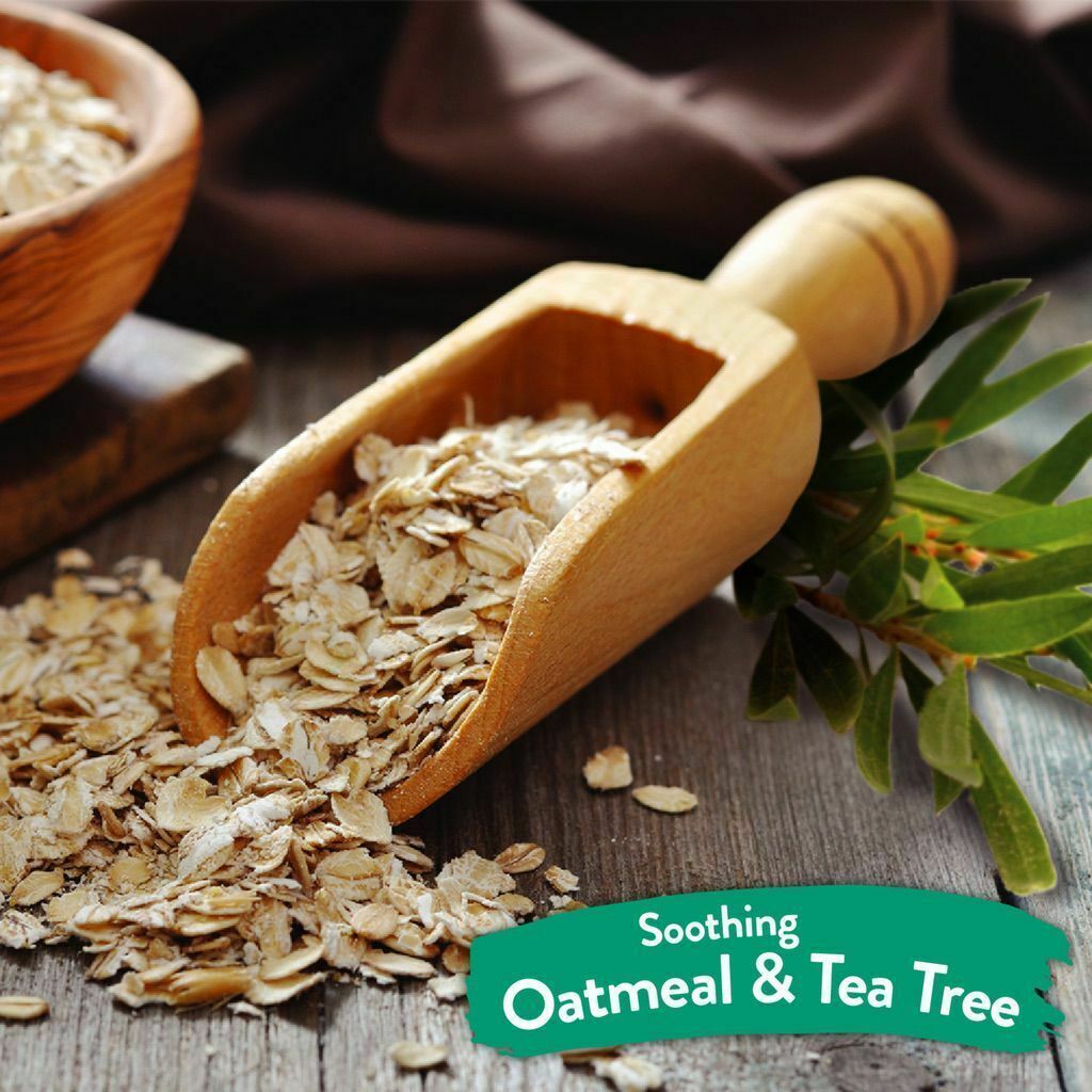 Tropiclean medicated oatmeal & tea tree shampoo hotsell