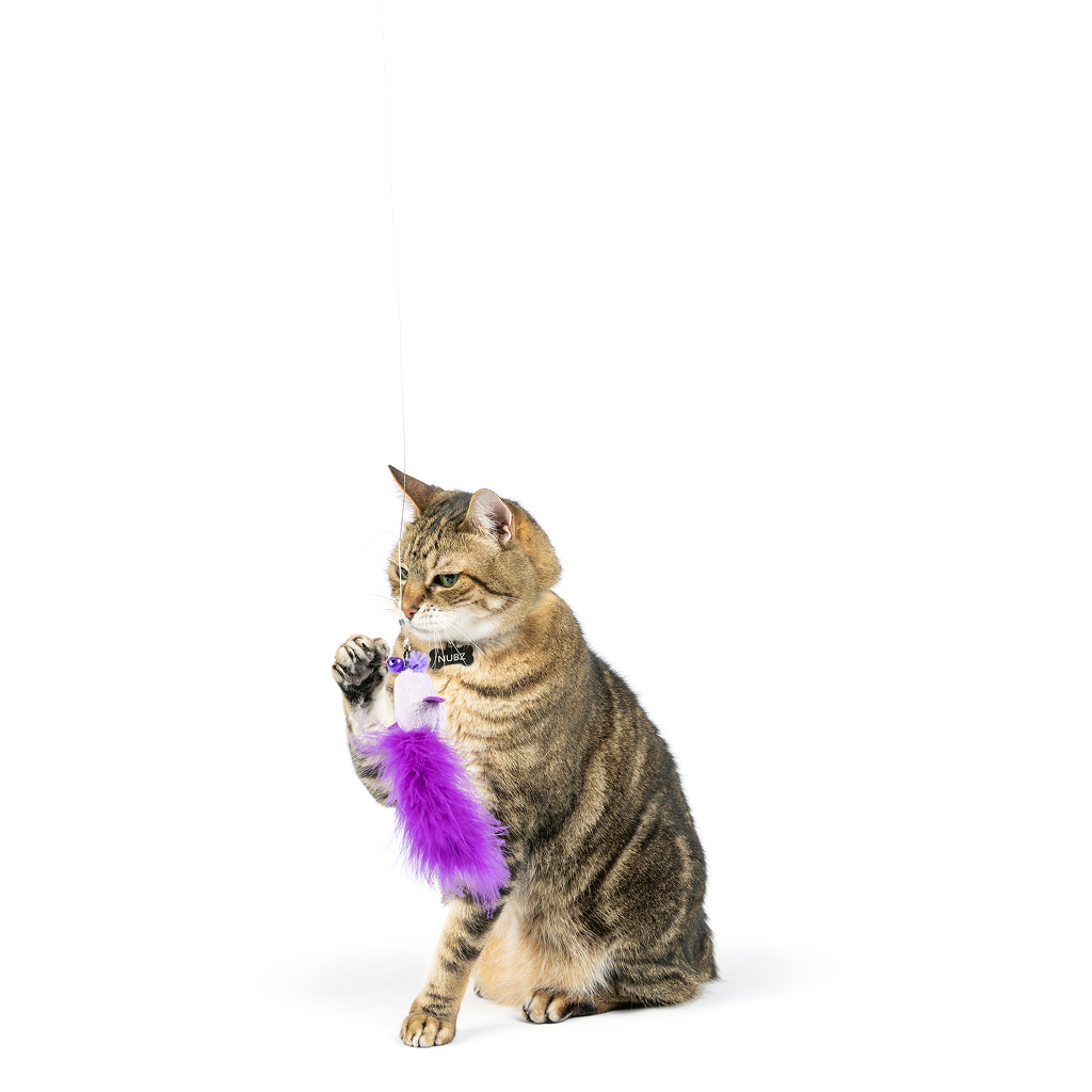 Huxley & Kent Cat Wand Refill 2PK PURPLE BIRDY FEATHER TEASERS image number null