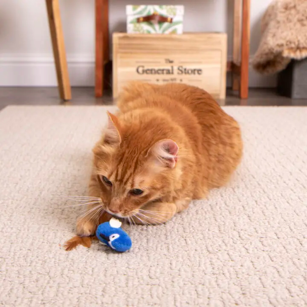 Instincts by SmartyKat HappyNip Chatty Chirp Electronic Sound Cat Toy, 1-count image number null