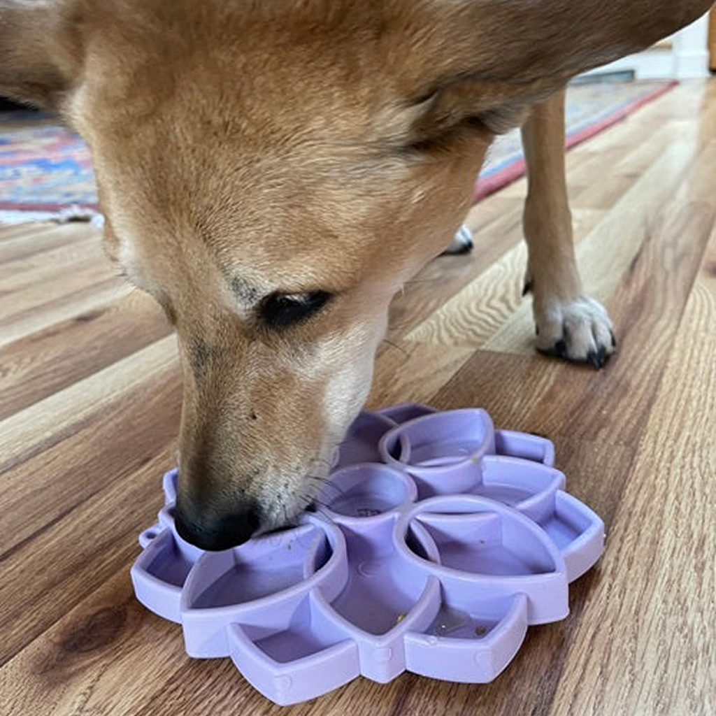 Soda Pup Mandala Softie Enrichment Slow Feeder with Suction Cups, Purple image number null
