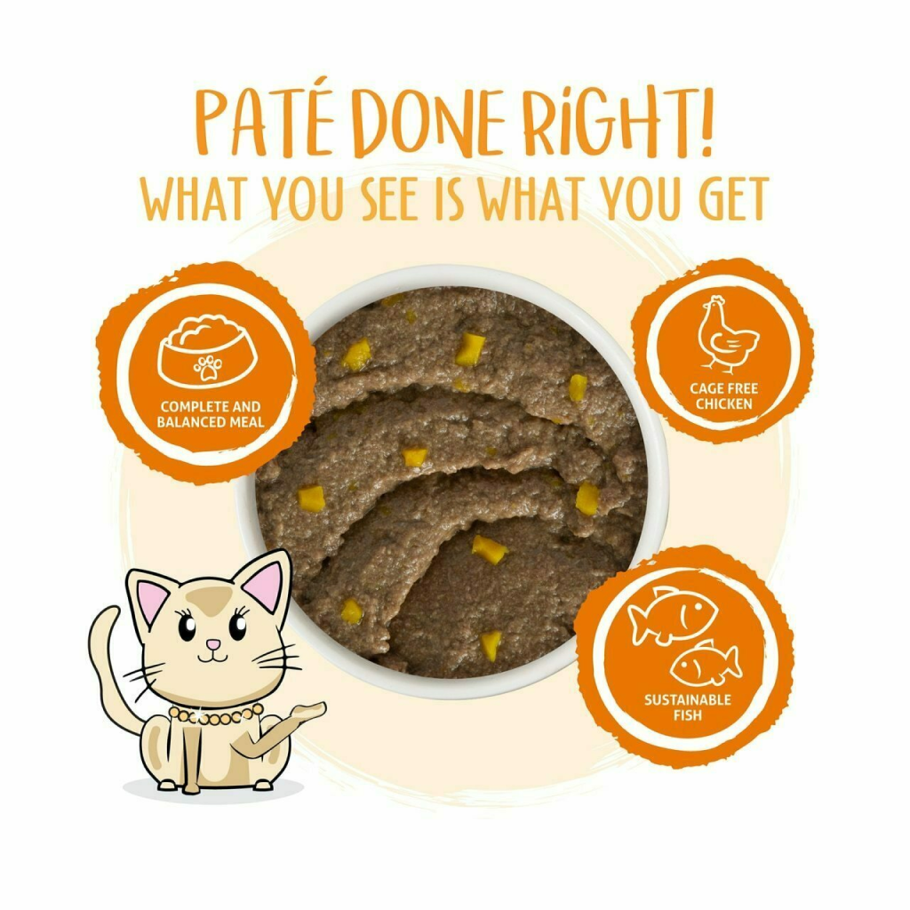 Weruva Classic Cat Pate, Who Want To Be A Meowinaire? With Chicken & Pumpkin, 3-oz Can image number null