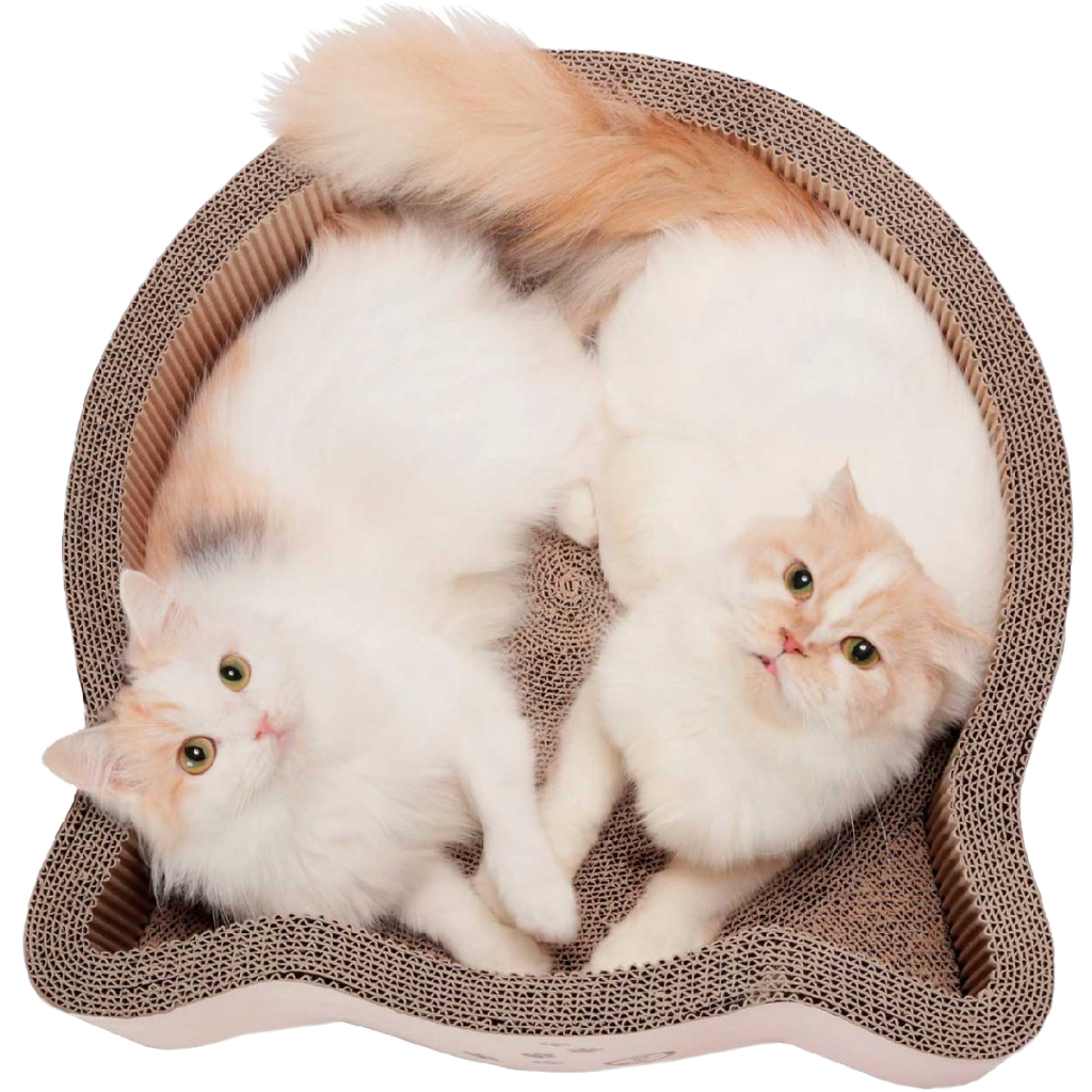 Cat-Headed Scratcher Bed Birch Large image number null