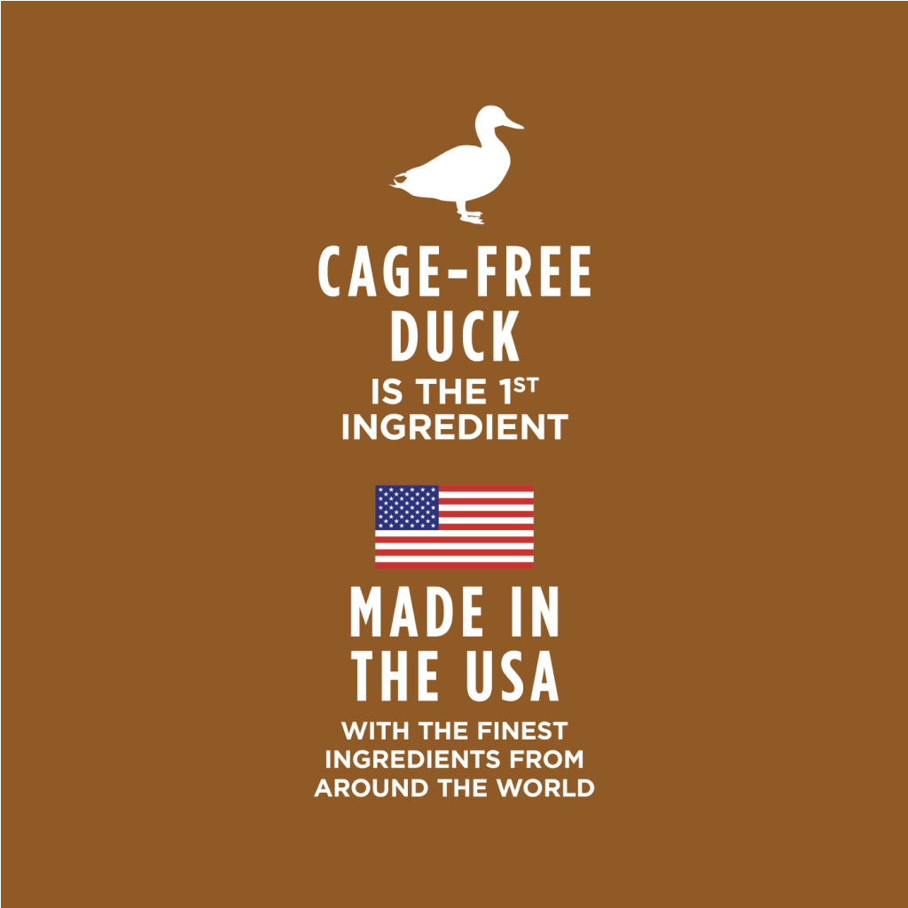 Instinct Healthy Cravings Grain-Free Real Duck Recipe In Savory Gravy Wet Cat Food Topper image number null