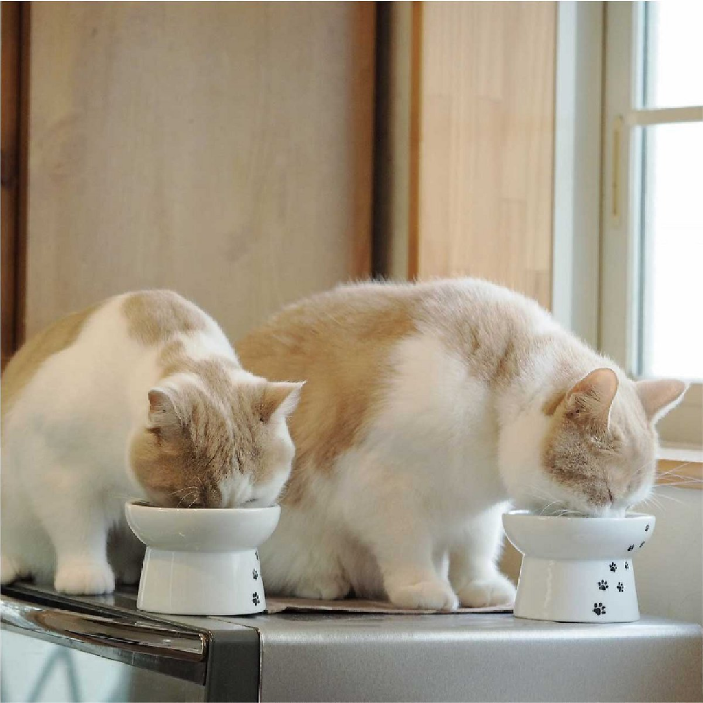 Raised Cat Food Bowl (Cat) image number null