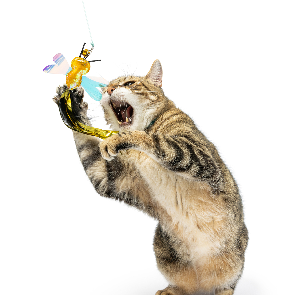 Huxley & Kent Cat Wand Refill 2PK BUZZ BEE STREAMERS image number null