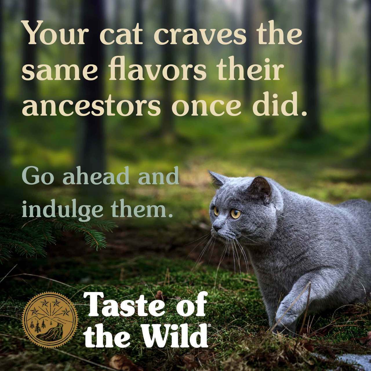 Taste Of The Wild Canyon River Feline Recipe With Trout & Smoked Salmon Dry Cat Food, 14-lb image number null