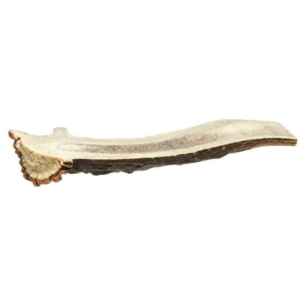 Half Deer Antler image number null