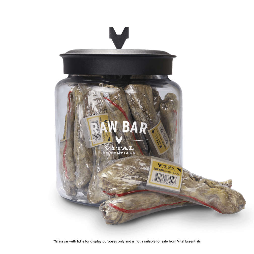 Freeze-Dried Duck Neck image number null