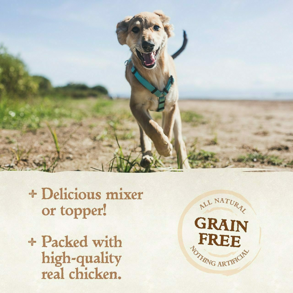 Wellness 95% Chicken Natural Wet Grain Free Canned Dog Food, 13.2-oz Can image number null