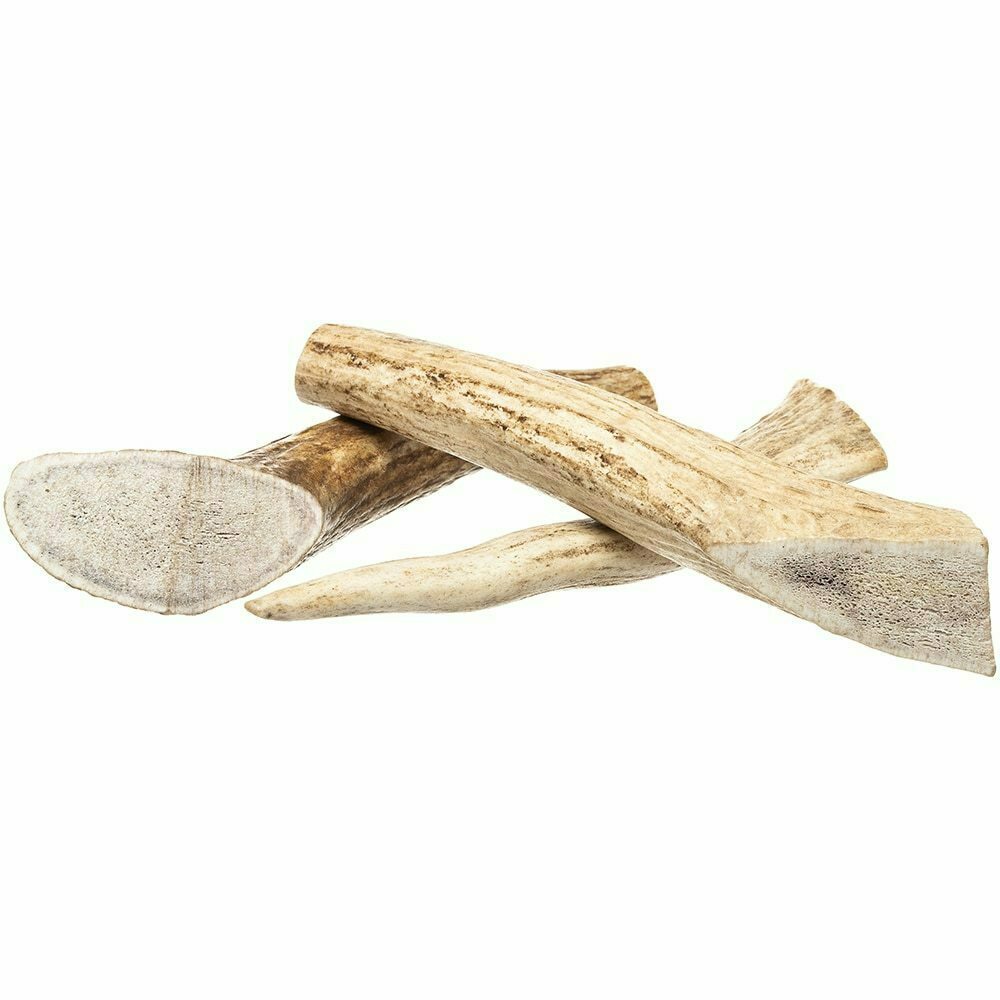 Whole Elk Antler image number null