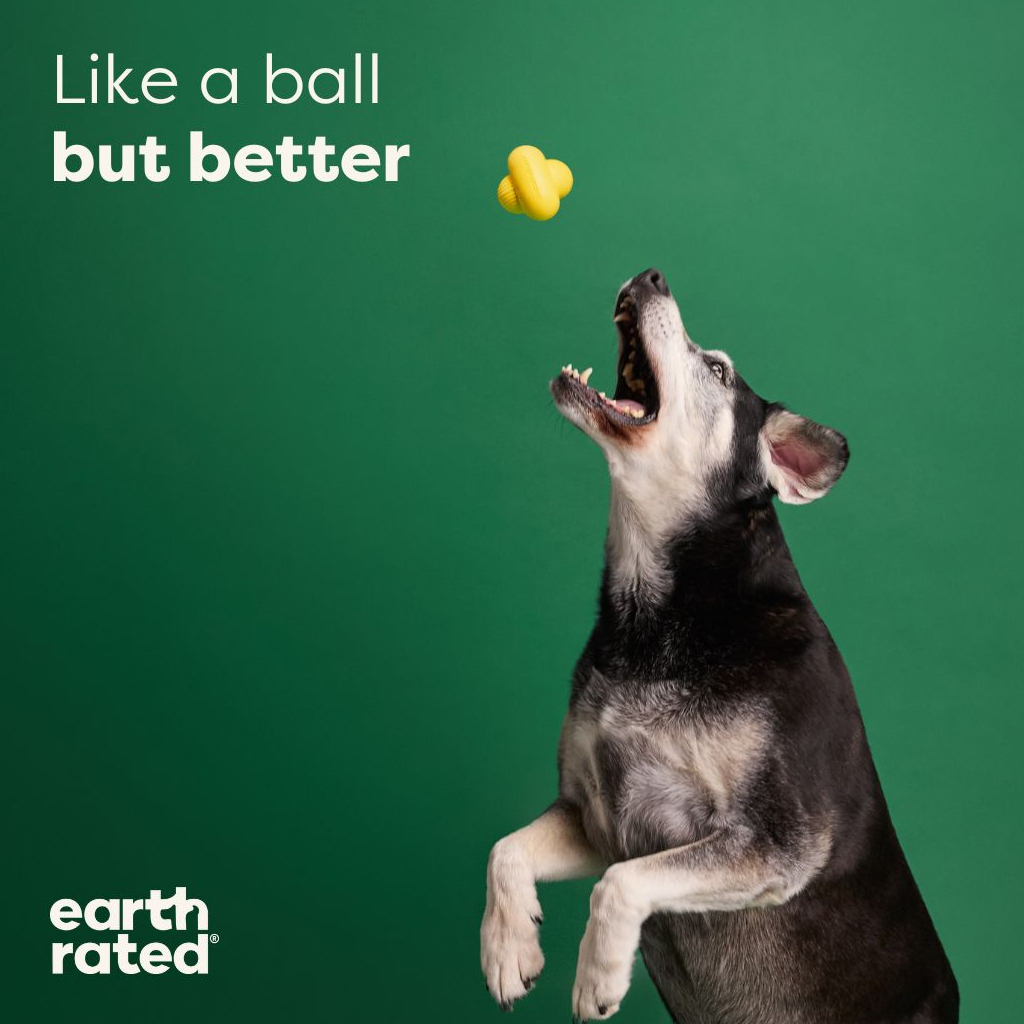 Earth Rated Medium Fetch Rubber Dog Toy, 1-count image number null
