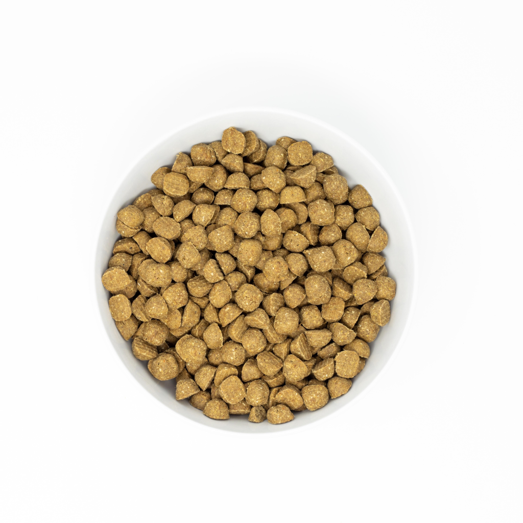 Stella & Chewy's Dog Raw Coated Kibble With Wholesome Grains, Cage-Free Chicken, 3.5-lb image number null