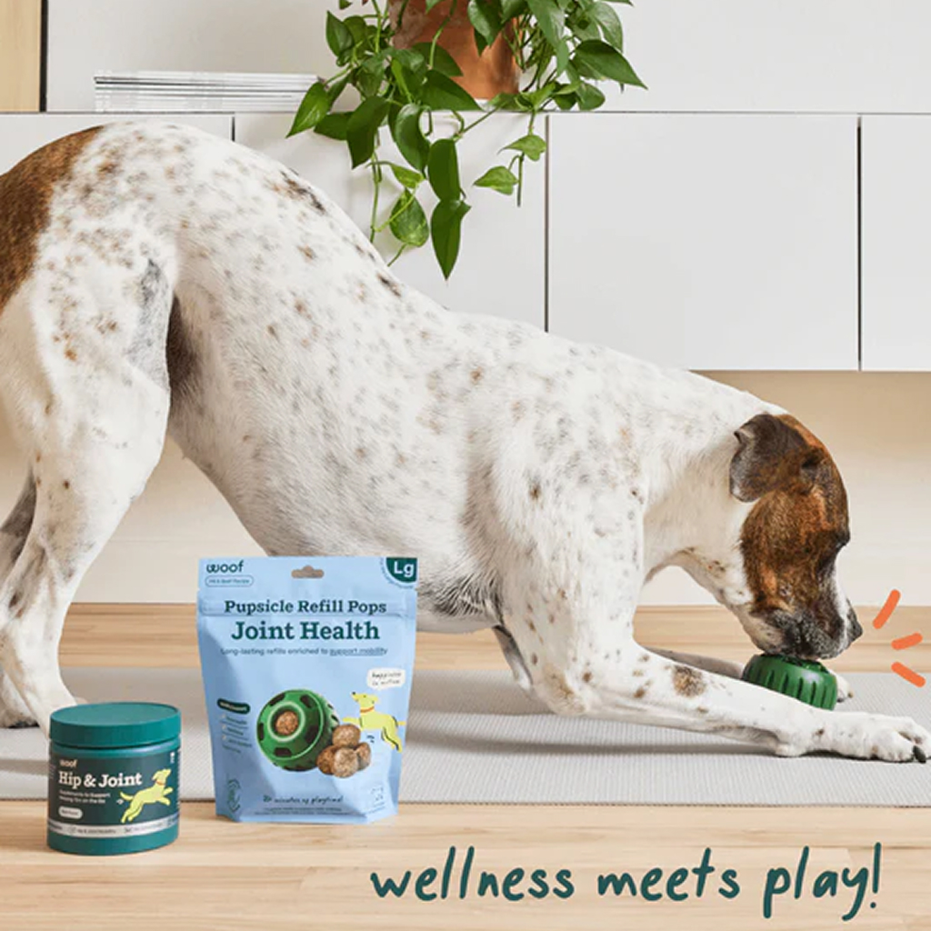 Woof Refillable Joint Health Wellness Pops for Dogs, 6-oz, Small image number null