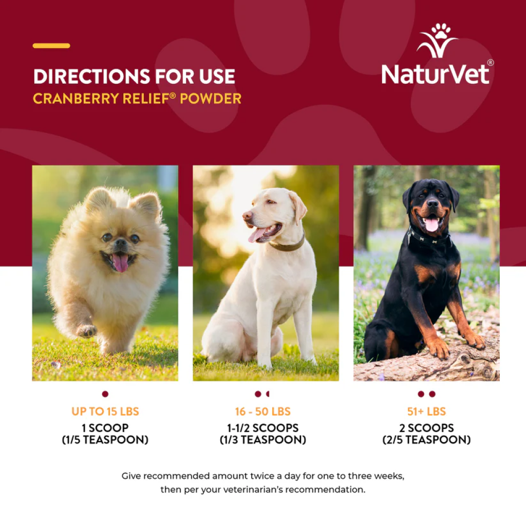 Buy Naturvet Cranberry Relief Powder Plus Echinacea For Dogs And Cats 50 g for USD 17.99 CentinelaFeed