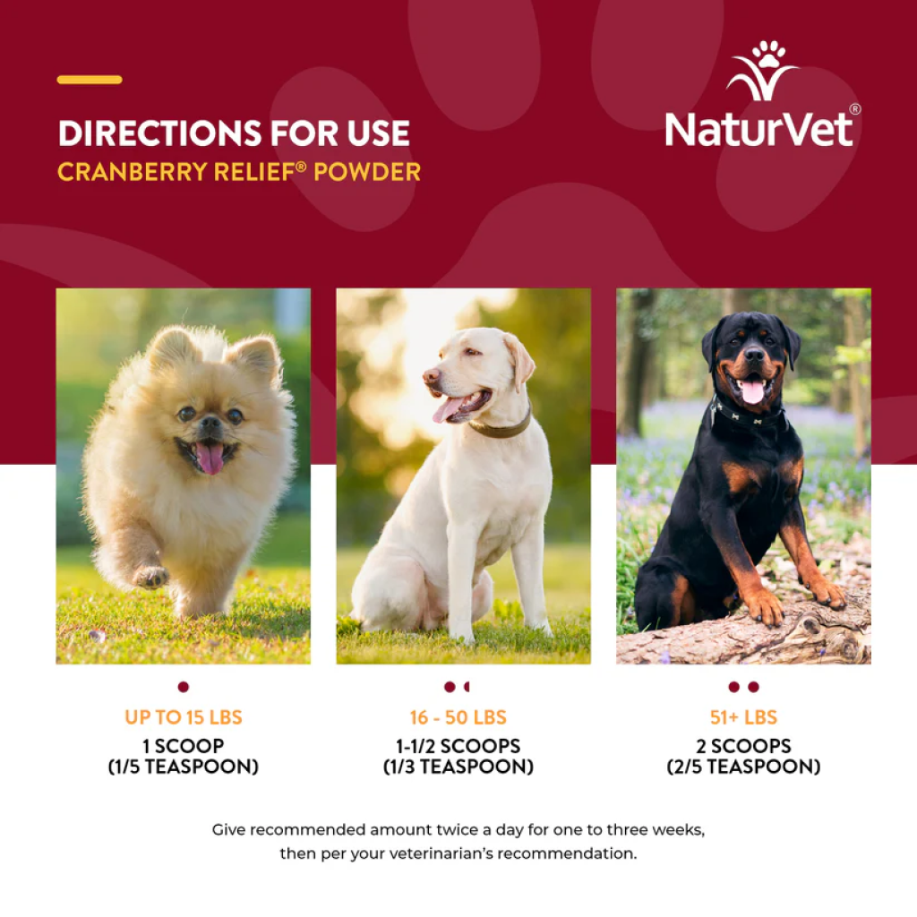 Naturvet Cranberry Relief Powder Plus Echinacea For Dogs And Cats, 50-g image number null