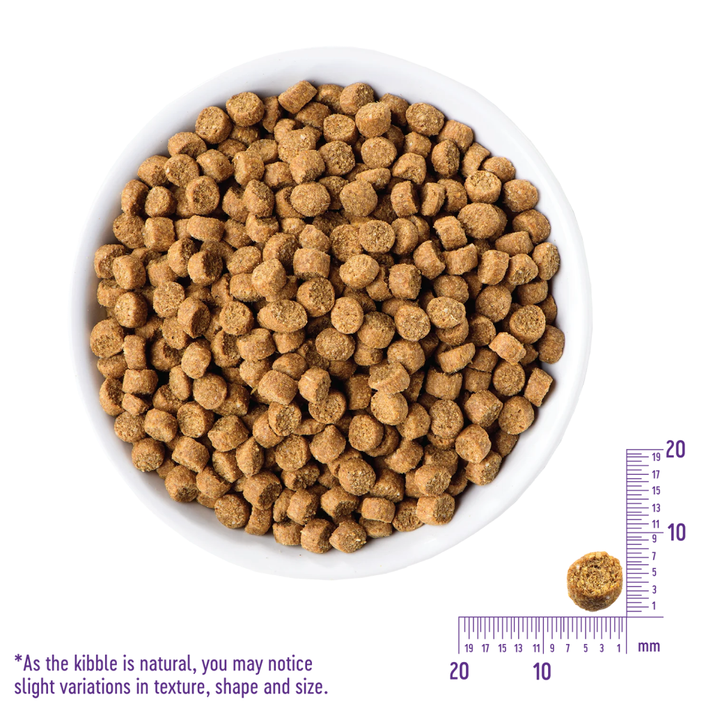 Wellness Complete Health Natural Grain Free Dry Kitten Food, Chicken & Chicken Recipe, 2.25-lb Bag image number null