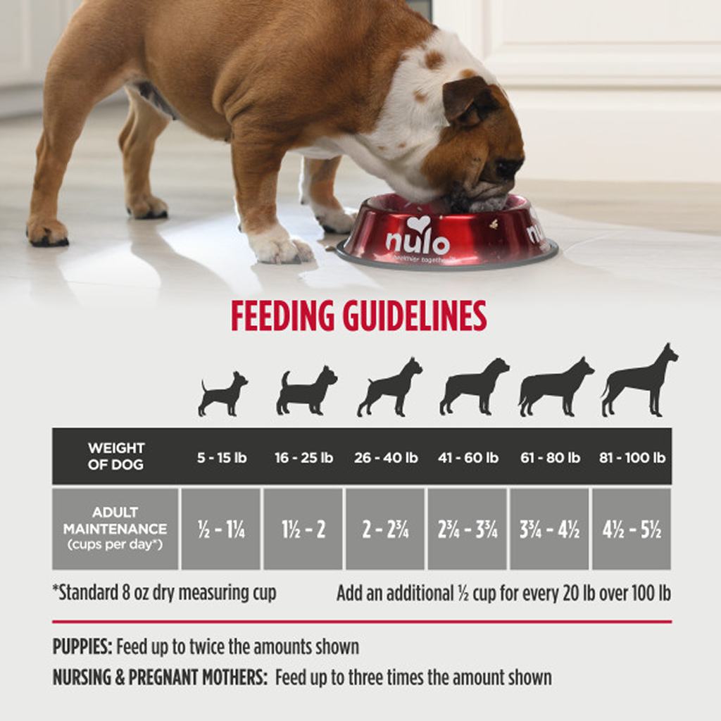 Nulo Cold Pressed Beef Recipe Grain-Free Puppy & Adult Dry Dog Food, 4LB Bag image number null