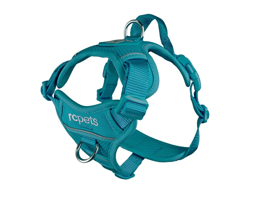 Momentum Harness S Dark Teal image number null