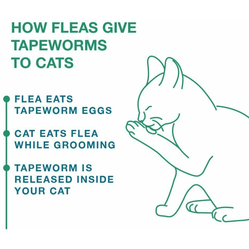 Tapeworm Dewormer Tablets For Cats, 3 Pack image number null