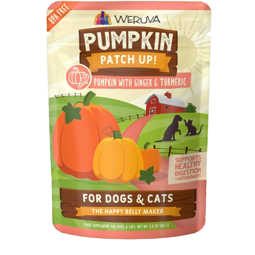 Weruva Pumpkin With Ginger & Turmeric Pumpkin Supplement (2.8-oz Pouch) image number null