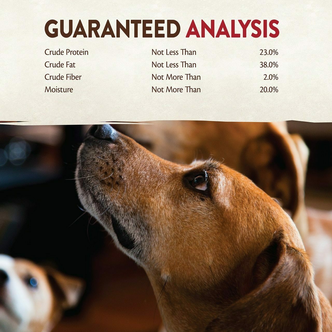 Wellness Core Pure Rewards Natural Grain Free Jerky Bites Dog Treats, Beef Recipe, 4-oz Bag image number null