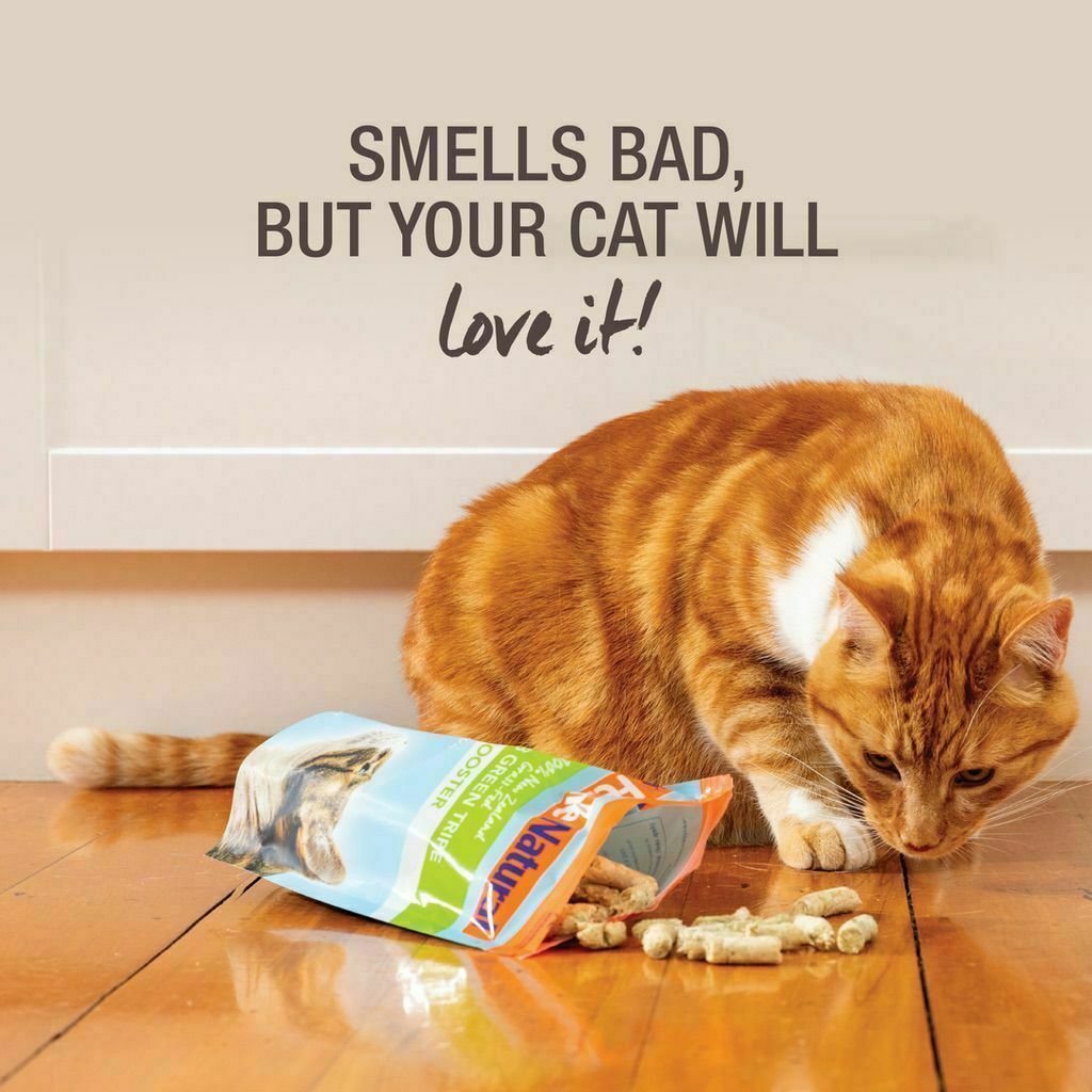 Feline Natural Lamb Green Tripe Booster Freeze Dried Cat Food Supplement image number null